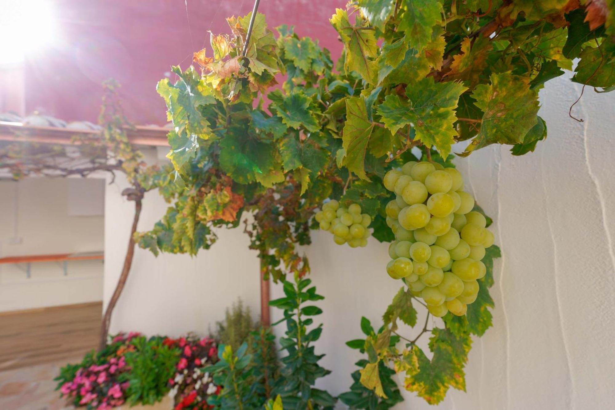 San Sperate Guest House Deidda - Ts Rooms B&B מראה חיצוני תמונה