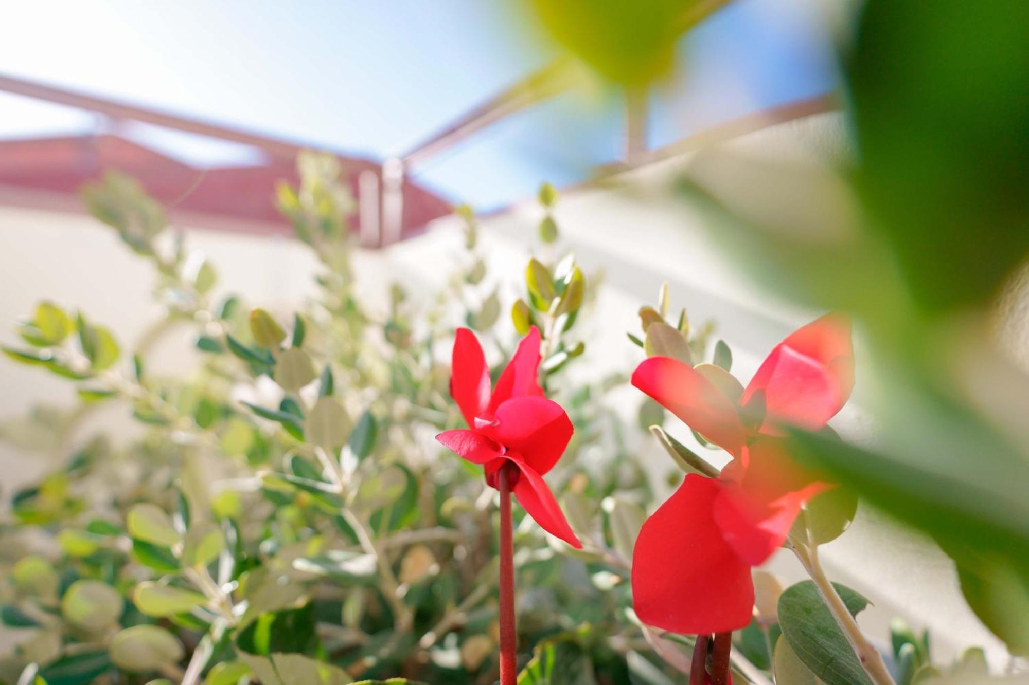 San Sperate Guest House Deidda - Ts Rooms B&B מראה חיצוני תמונה